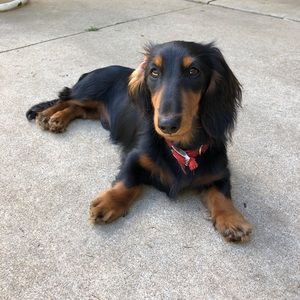 Meet your Posher, Cathy